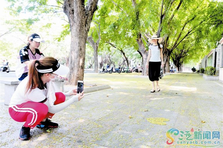 个拍照好去处.jpg