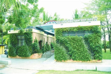 p1_b.jpg