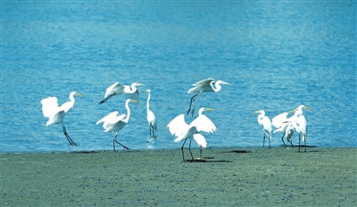 p1_b.jpg